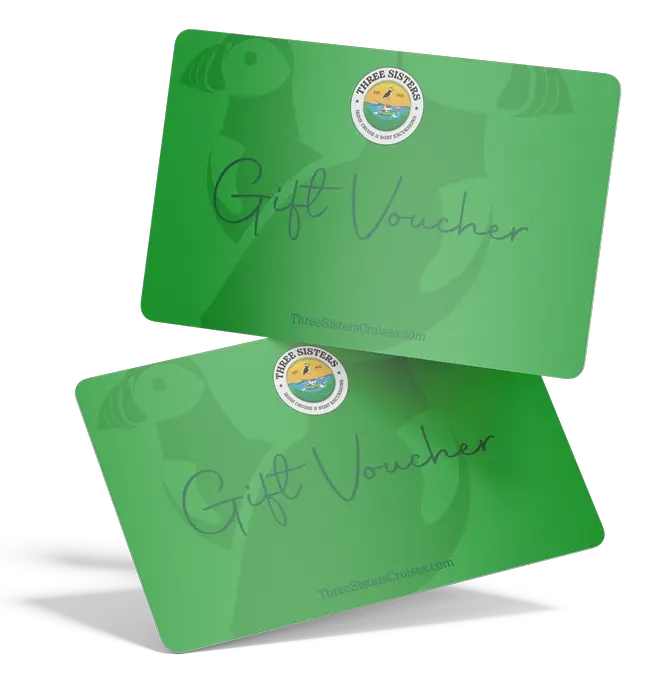 Two green gift vouchers for "Three Sisters Cruises" with the logo of a stylized bird and waves. Each card features the text "Gift Voucher" in elegant script with a glossy finish.