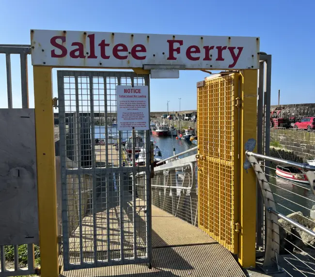 Gate with a sign reading "Saltee Ferry" leads to a dock, with boats visible in the background under a clear blue sky. A notice is posted on the gate.